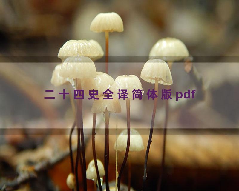 二十四史全译简体版pdf