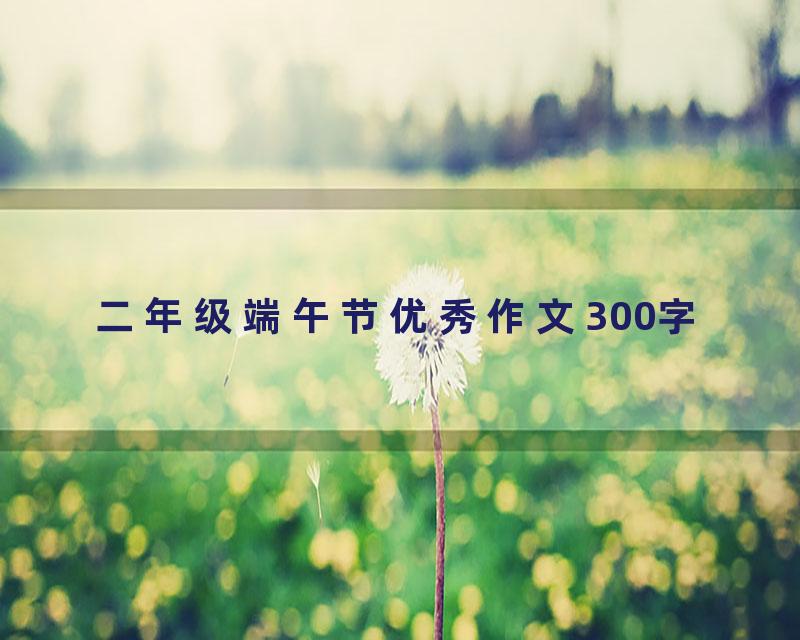 二年级端午节优秀作文300字