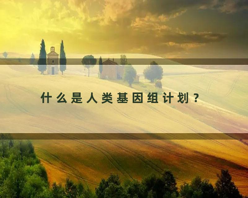 什么是人类基因组计划？