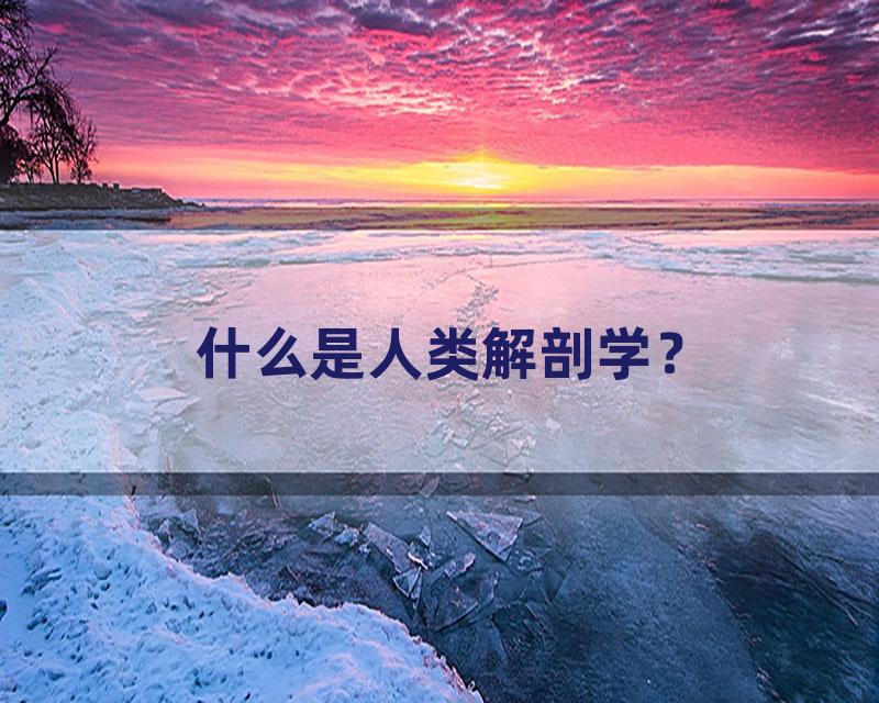 什么是人类解剖学？