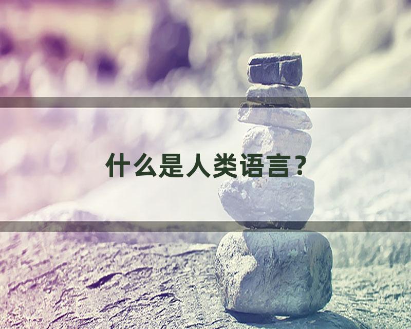 什么是人类语言？