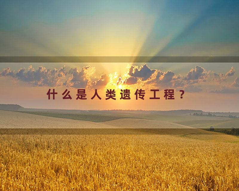 什么是人类遗传工程？