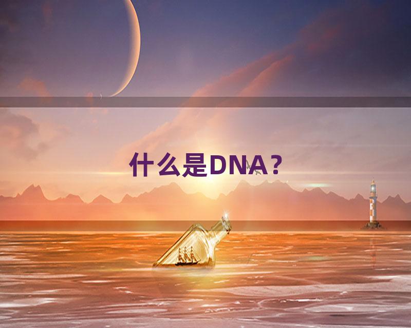 什么是DNA？