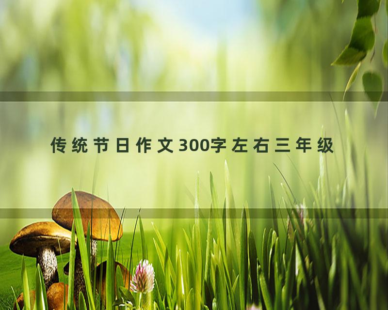 传统节日作文300字左右三年级