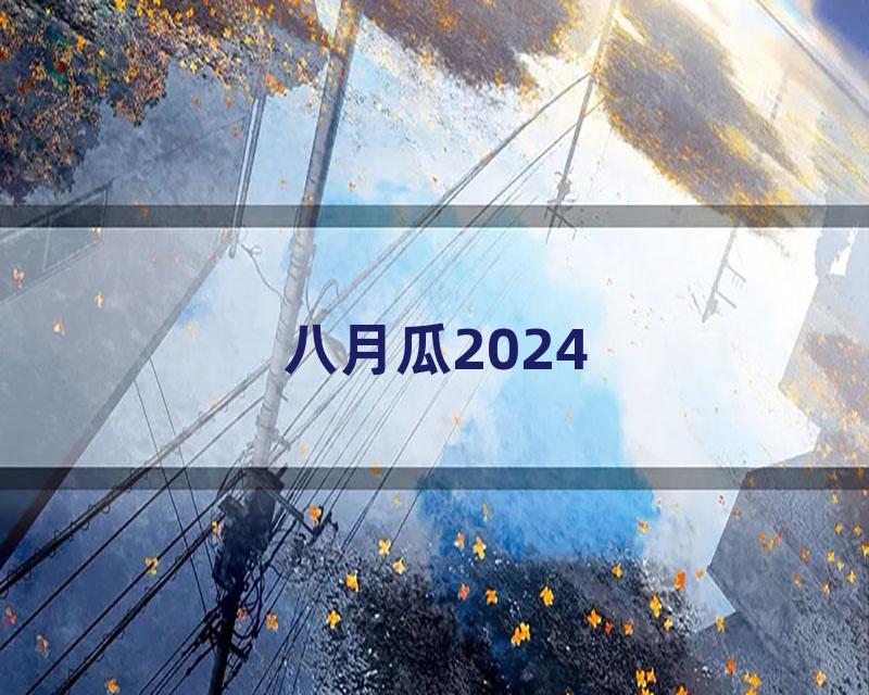 八月瓜2024