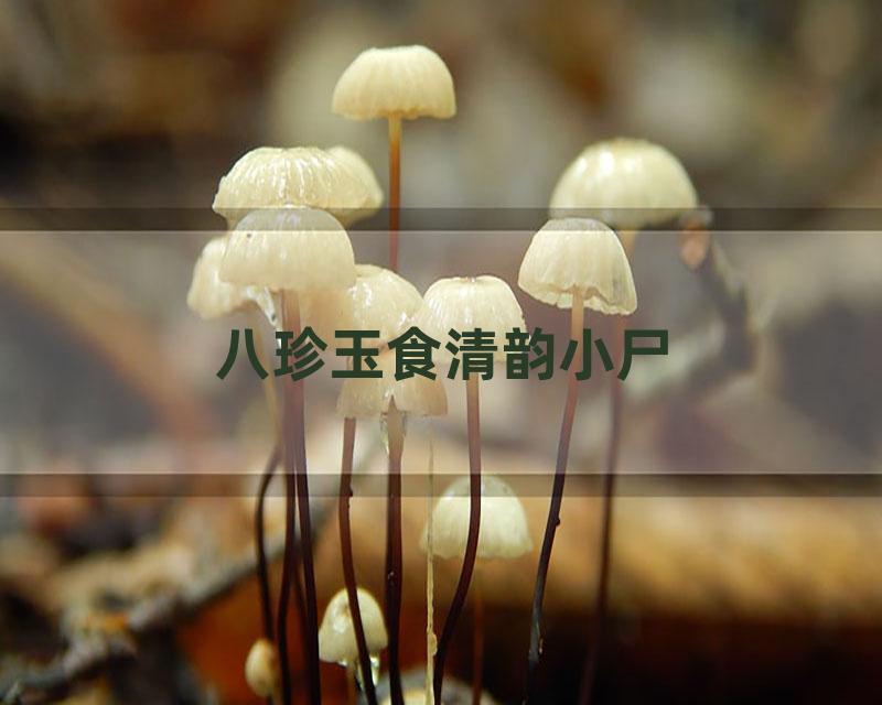 八珍玉食清韵小尸