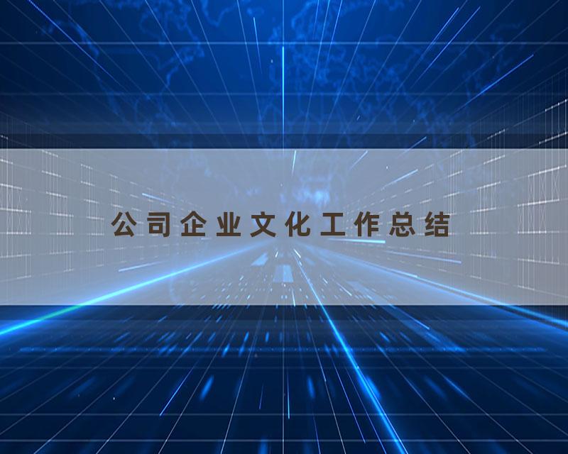 公司企业文化工作总结