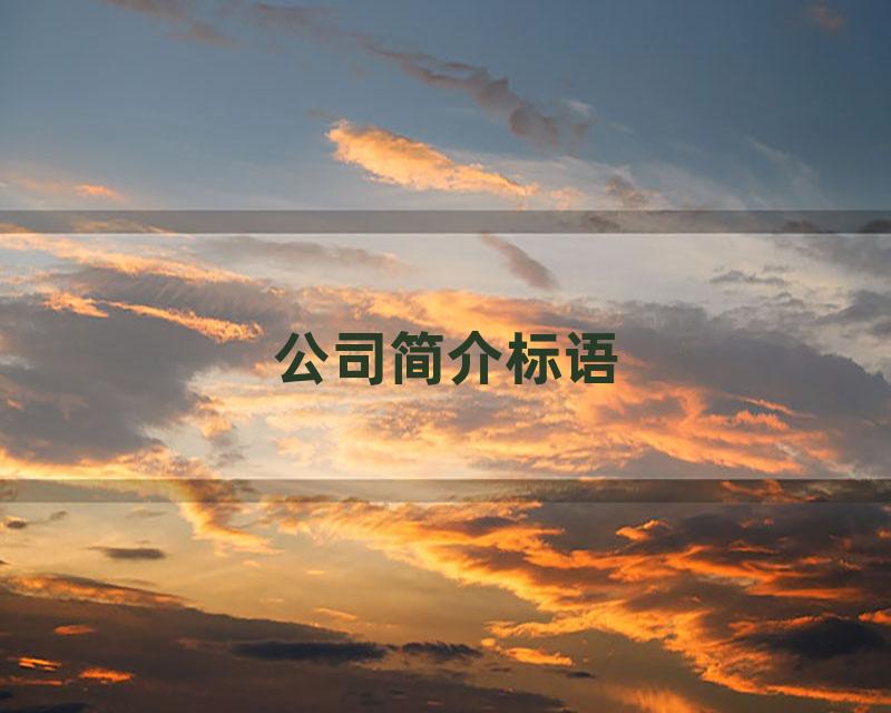 公司简介标语