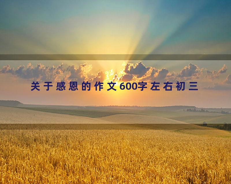 关于感恩的作文600字左右初三