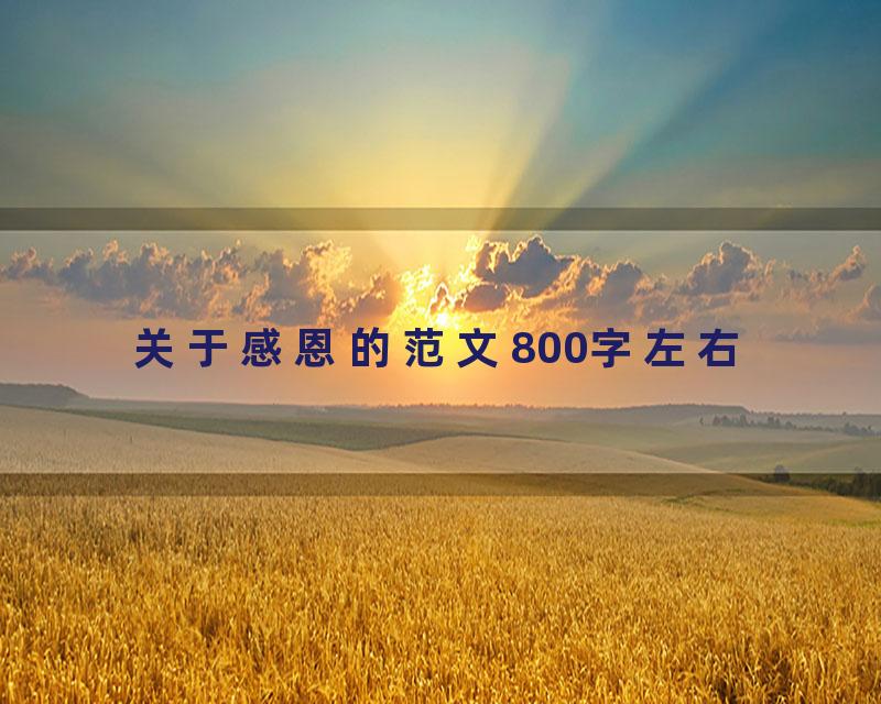 关于感恩的范文800字左右