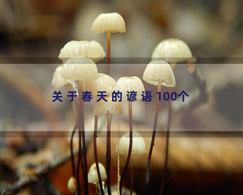 关于春天的谚语100个