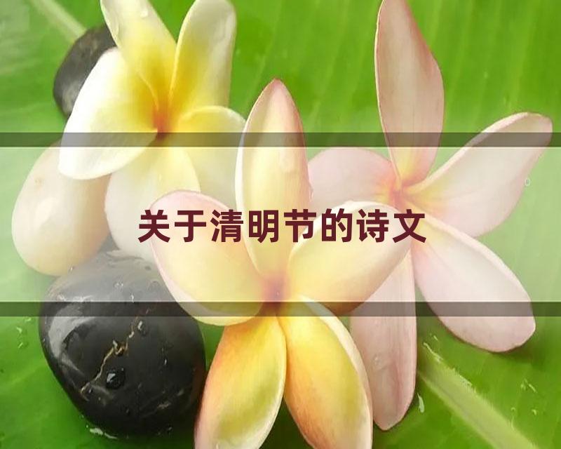 关于清明节的诗文