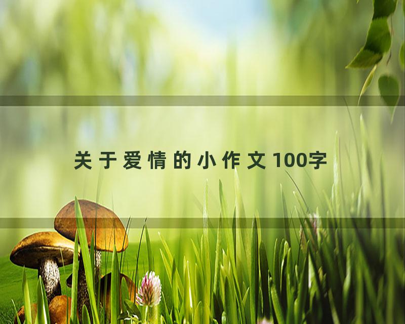 关于爱情的小作文100字