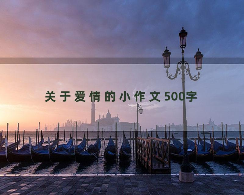 关于爱情的小作文500字