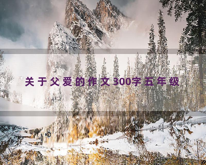 关于父爱的作文300字五年级