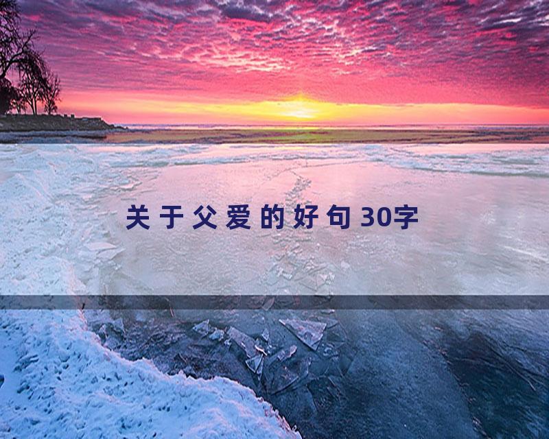 关于父爱的好句30字