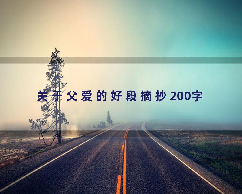 关于父爱的好段摘抄200字