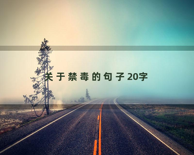 关于禁毒的句子20字