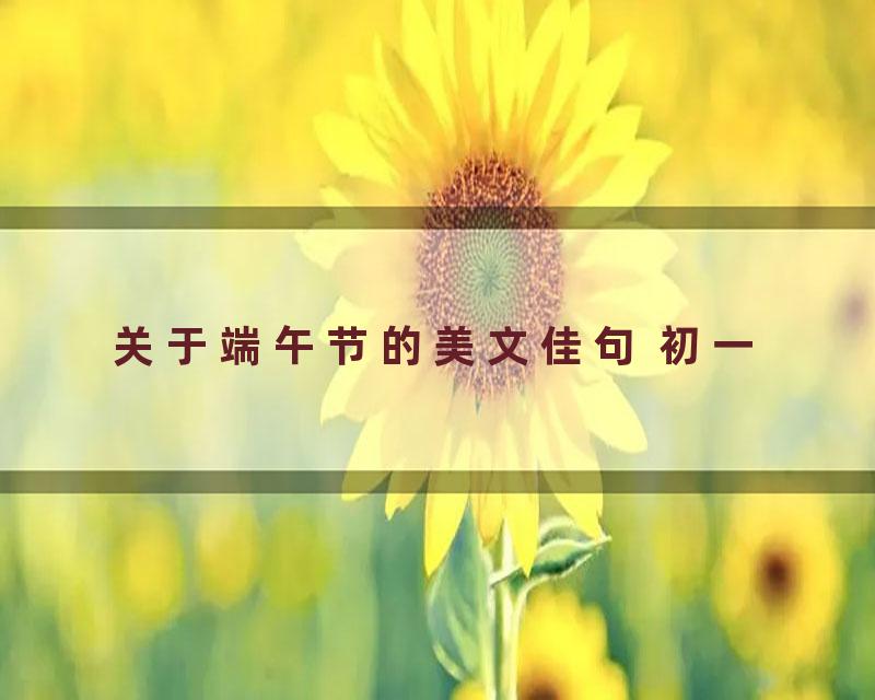 关于端午节的美文佳句 初一