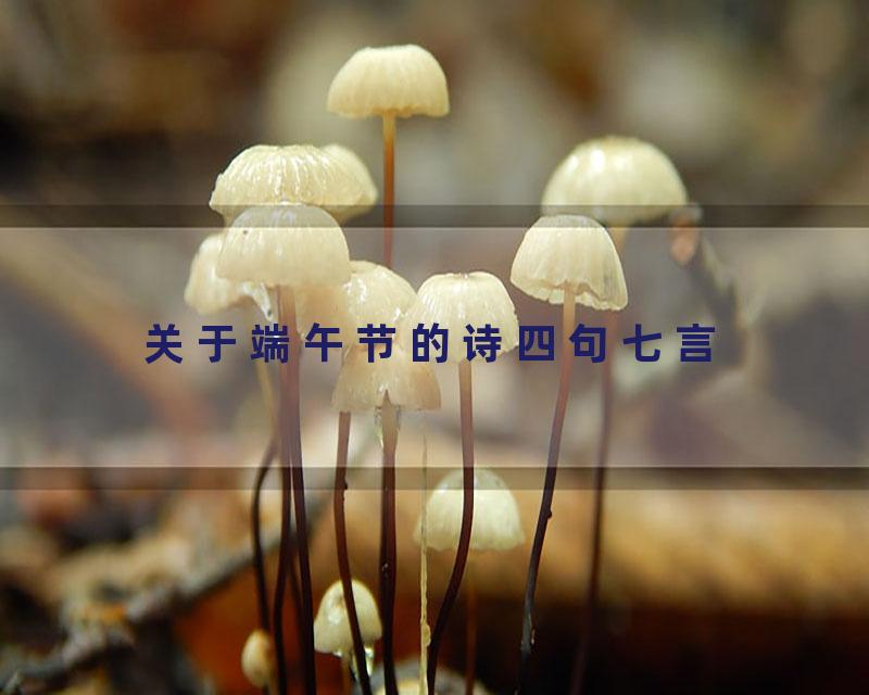 关于端午节的诗四句七言