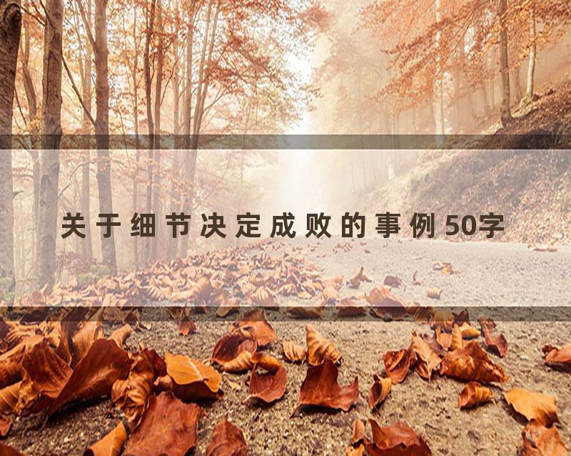 关于细节决定成败的事例50字