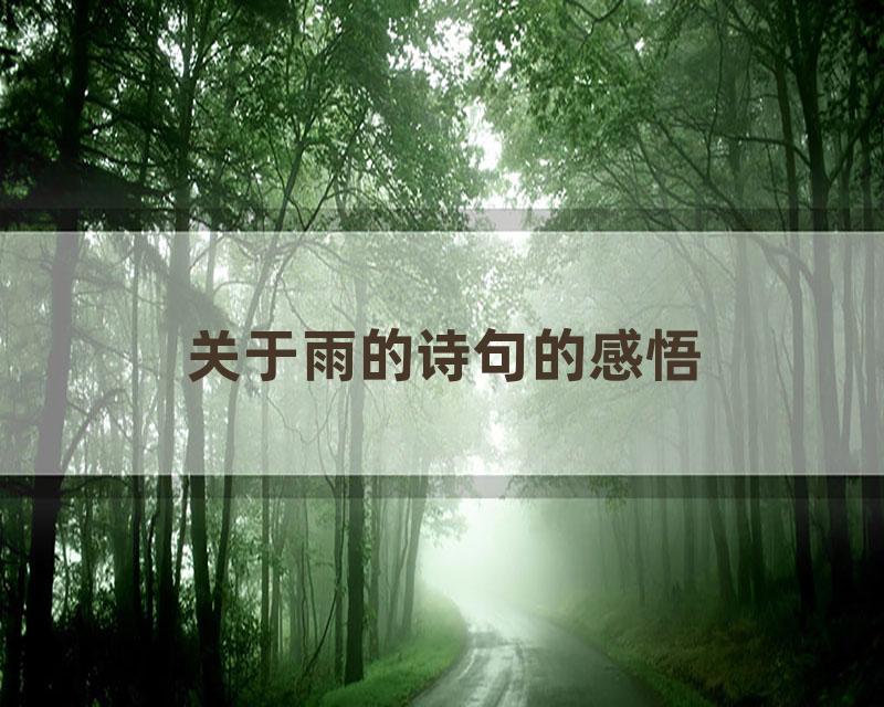 关于雨的诗句的感悟