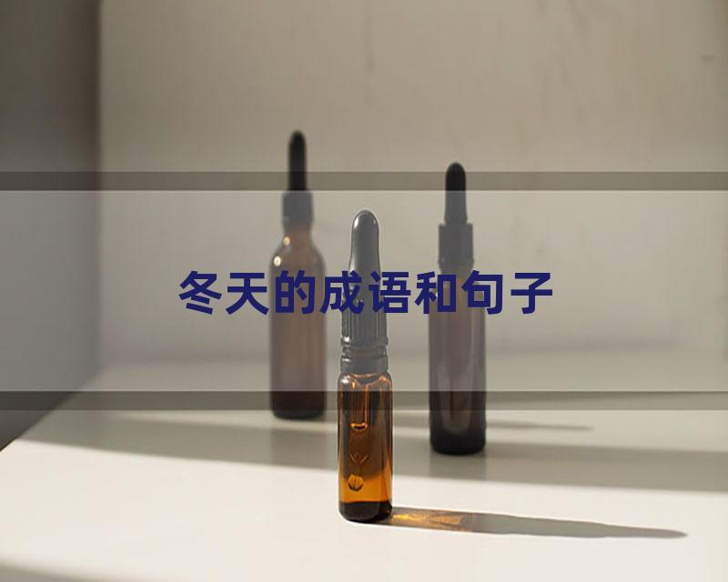 冬天的成语和句子