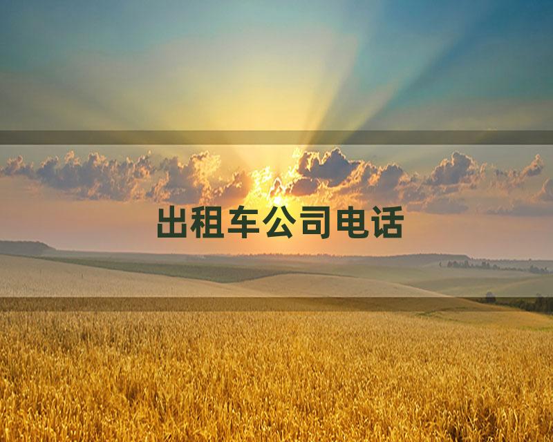 出租车公司电话