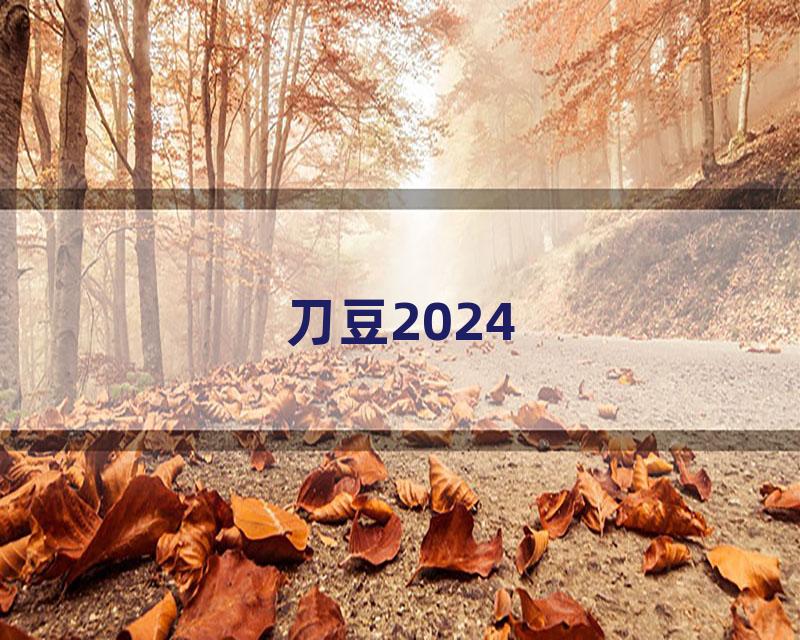 刀豆2024