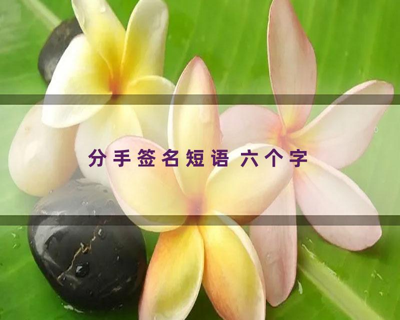 分手签名短语 六个字