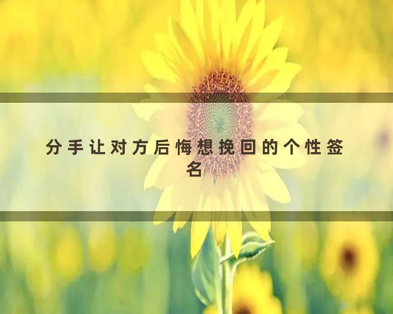 分手让对方后悔想挽回的个性签名