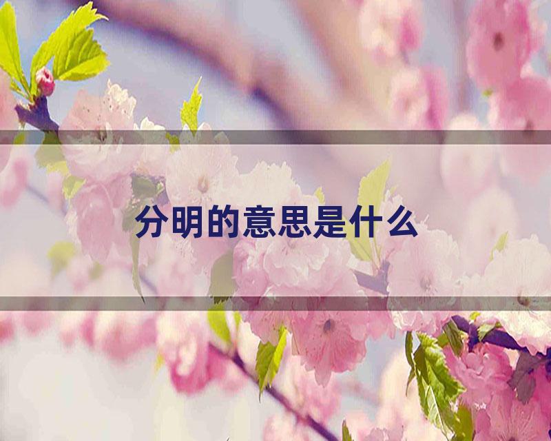 分明的意思是什么