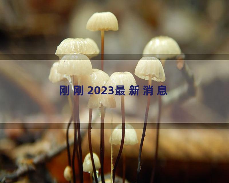 刚刚2023最新消息