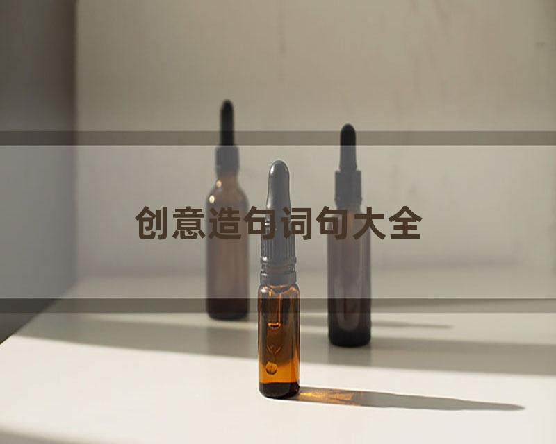 创意造句词句大全