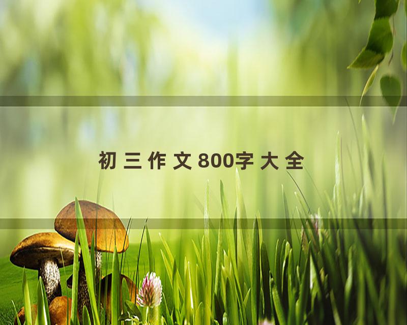 初三作文800字大全