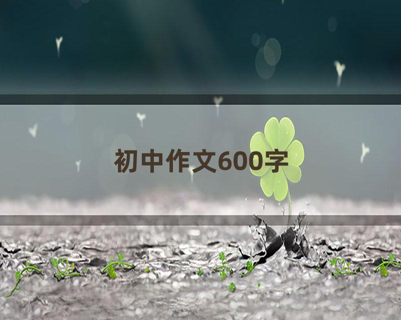 初中作文600字