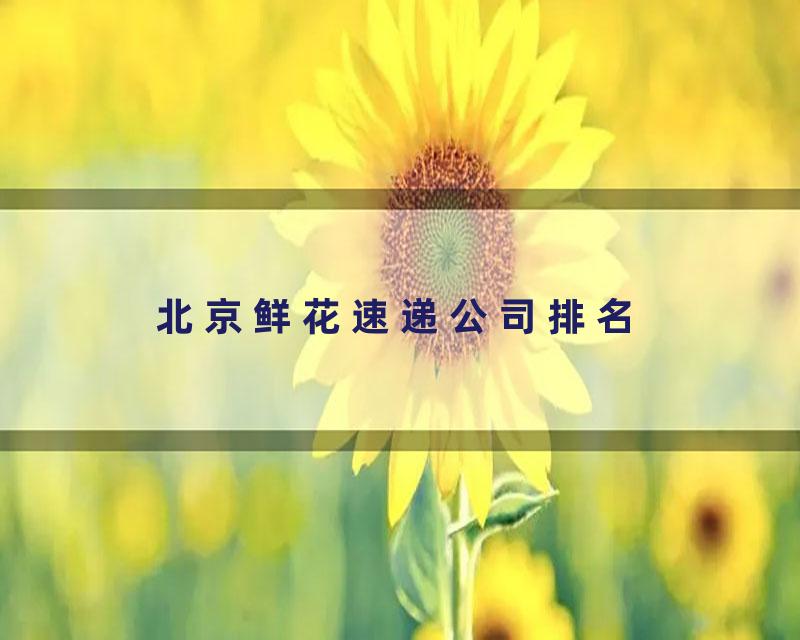 北京鲜花速递公司排名