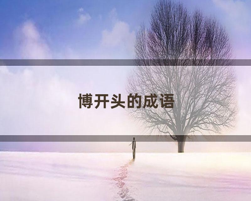 博开头的成语