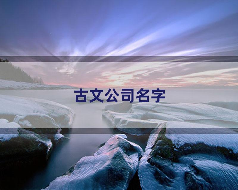 古文公司名字