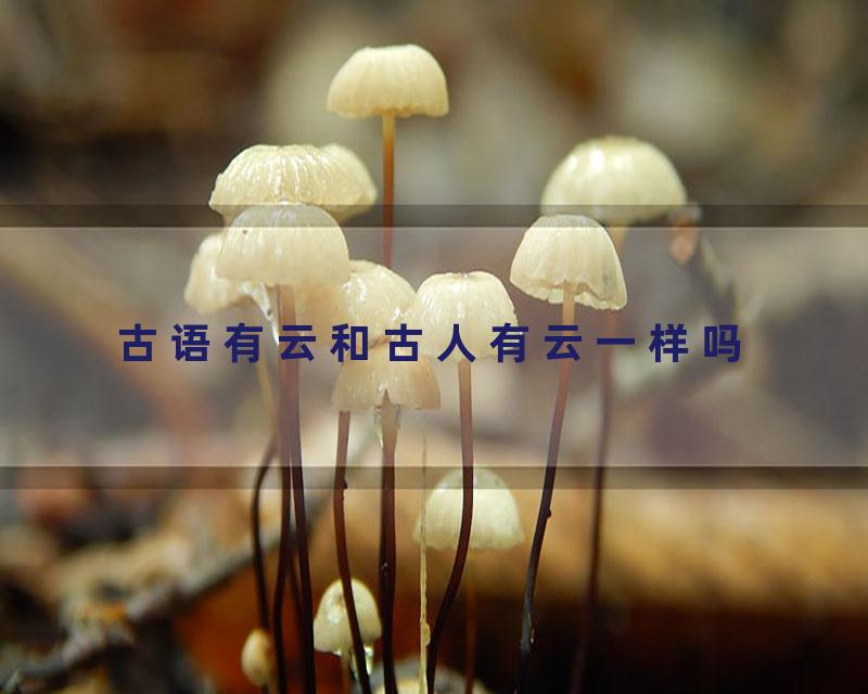 古语有云和古人有云一样吗