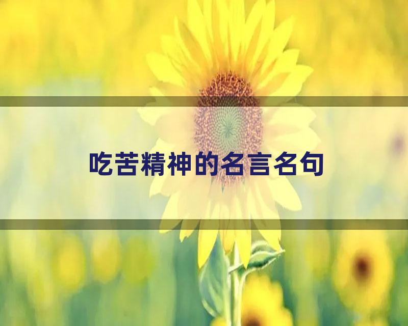 吃苦精神的名言名句