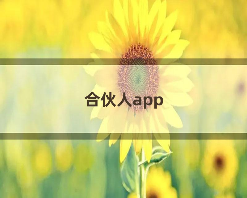 合伙人app