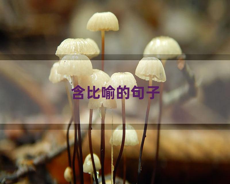 含比喻的句子