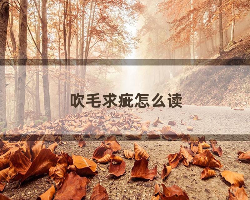 吹毛求疵怎么读