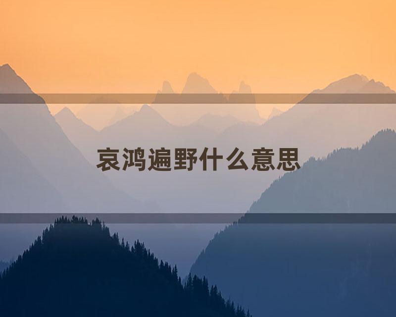 哀鸿遍野什么意思