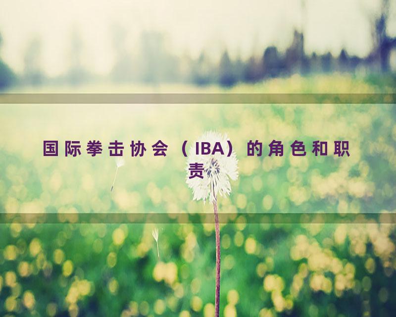 国际拳击协会（IBA）的角色和职责