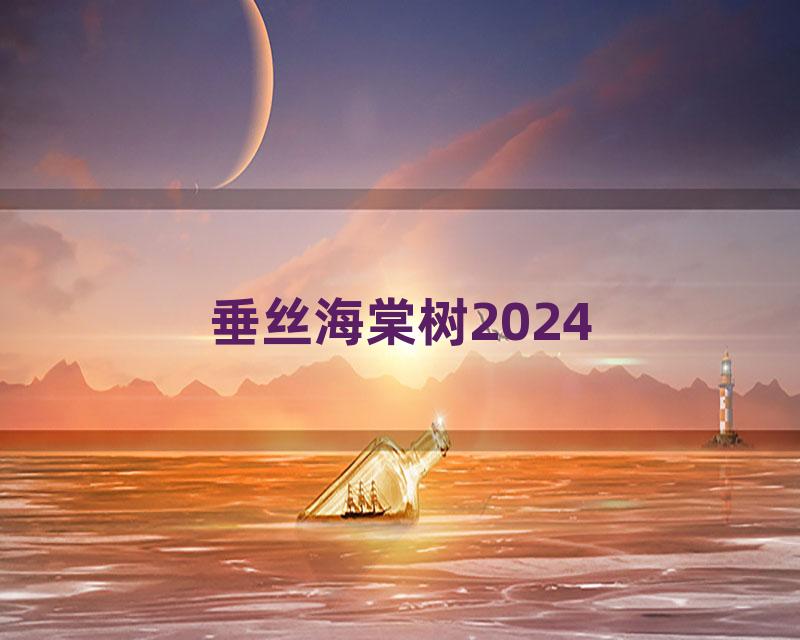 垂丝海棠树2024