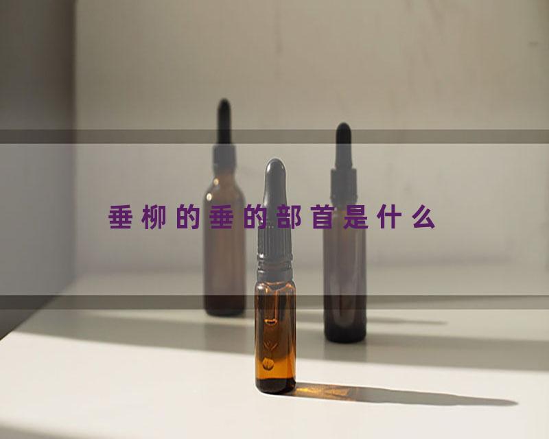 垂柳的垂的部首是什么