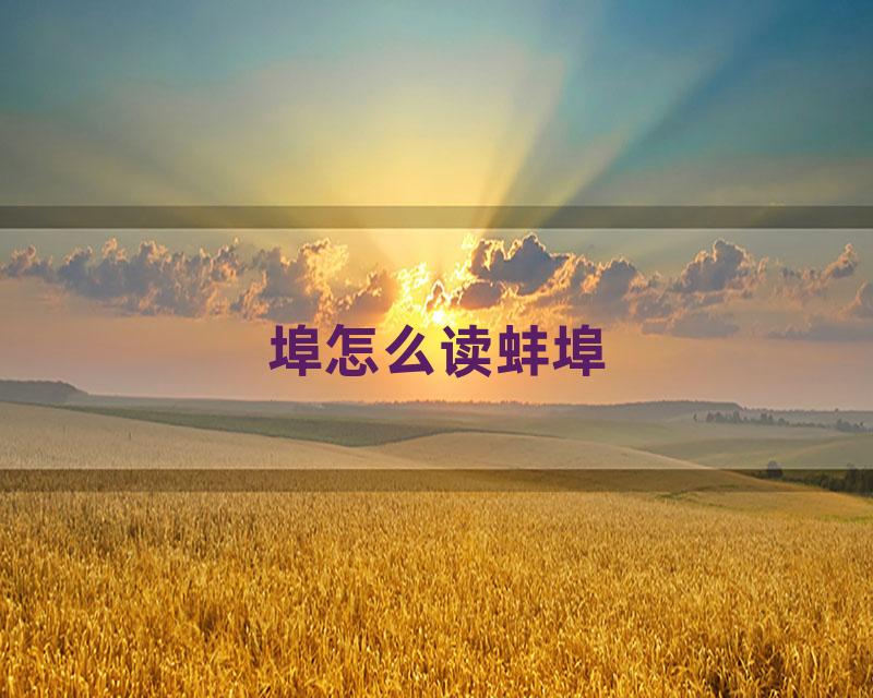 埠怎么读蚌埠