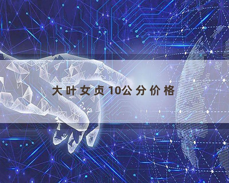 大叶女贞10公分价格